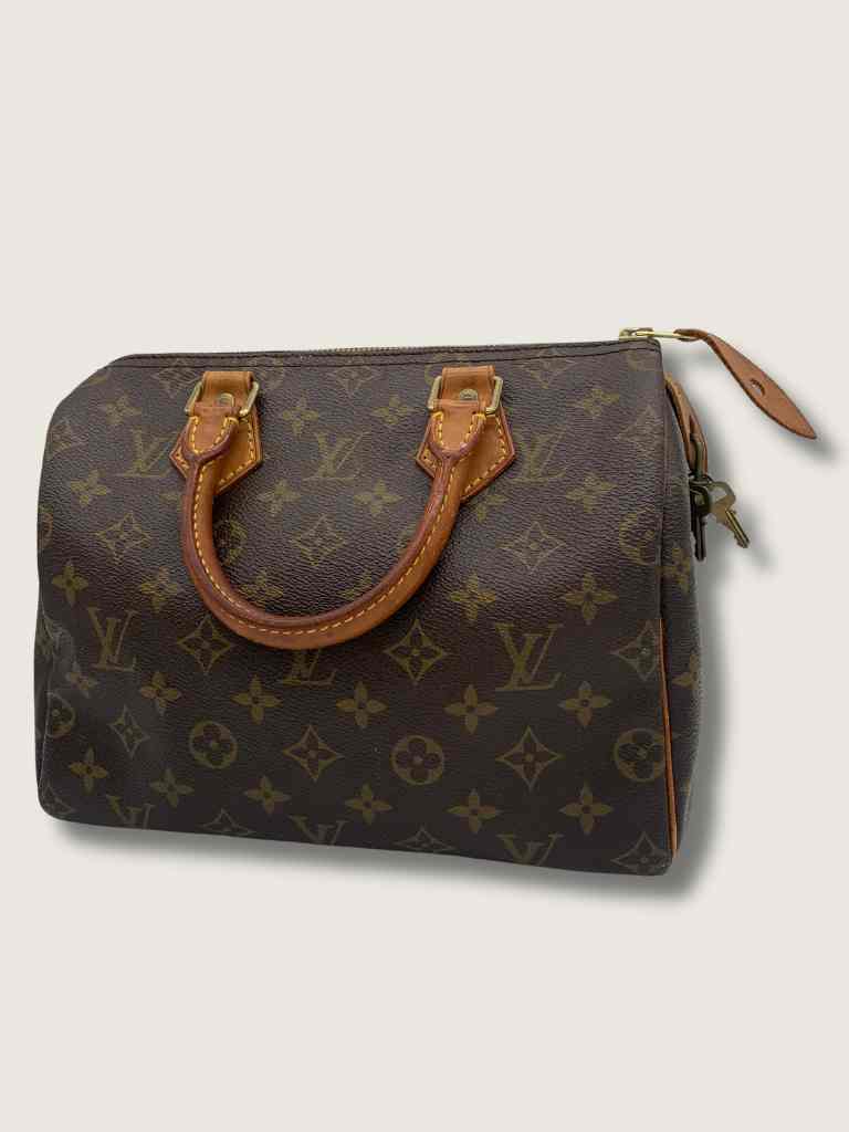 LOUIS VUITTON Handbag