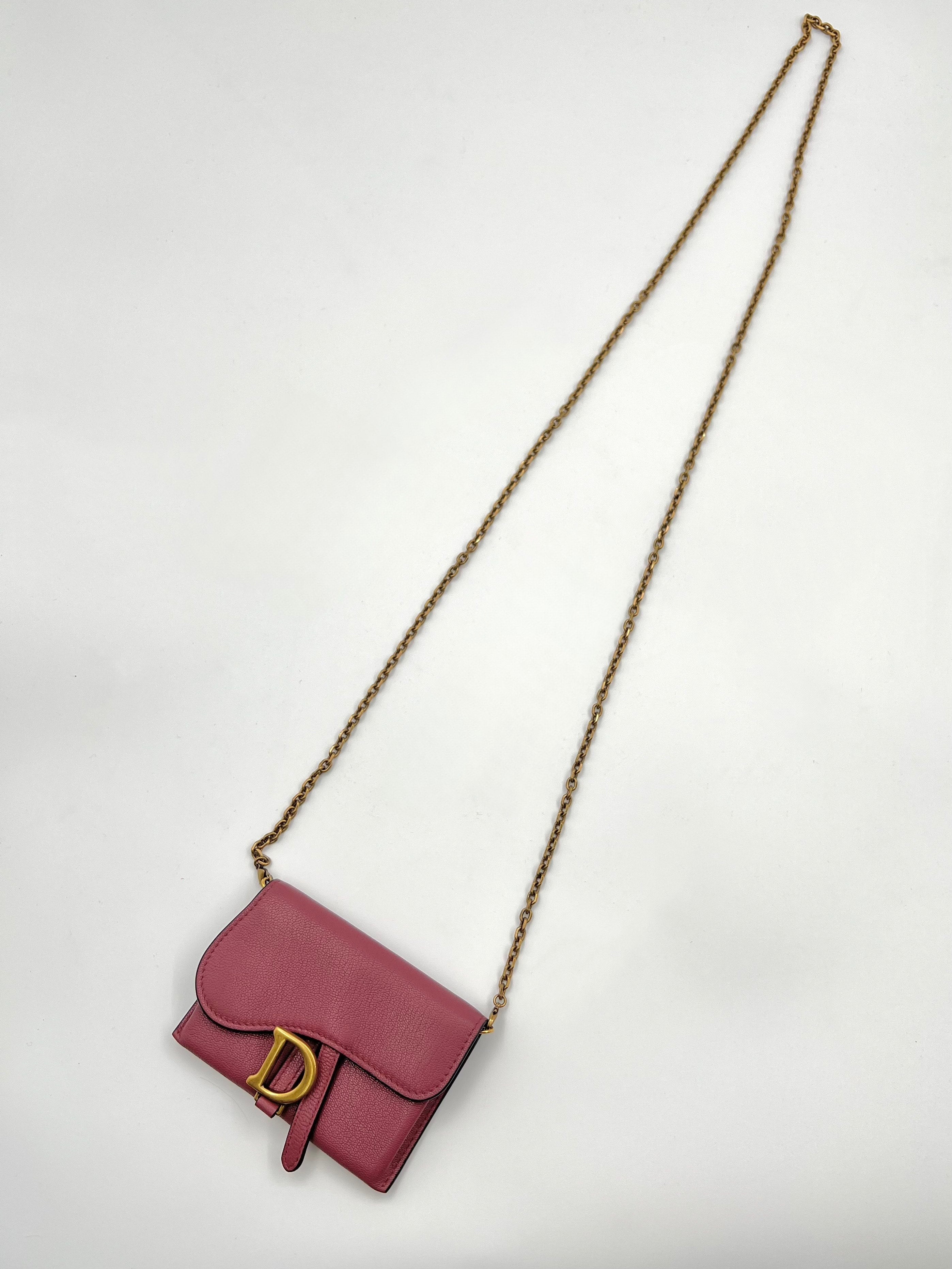 Pink Micro Saddle Bag on Chain