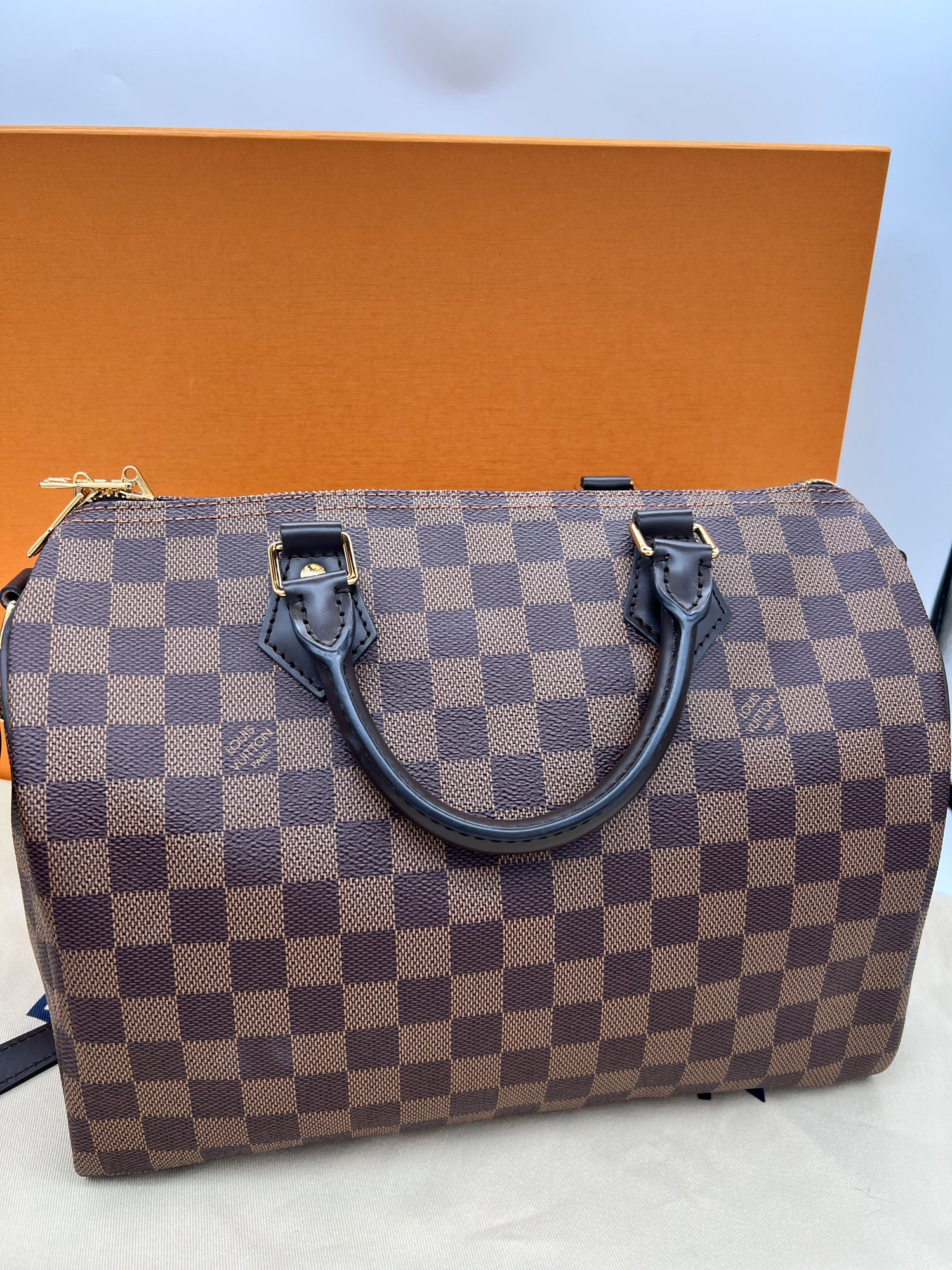 LOUIS VUITTON Like New / NWOT: Item is pristine Handbag