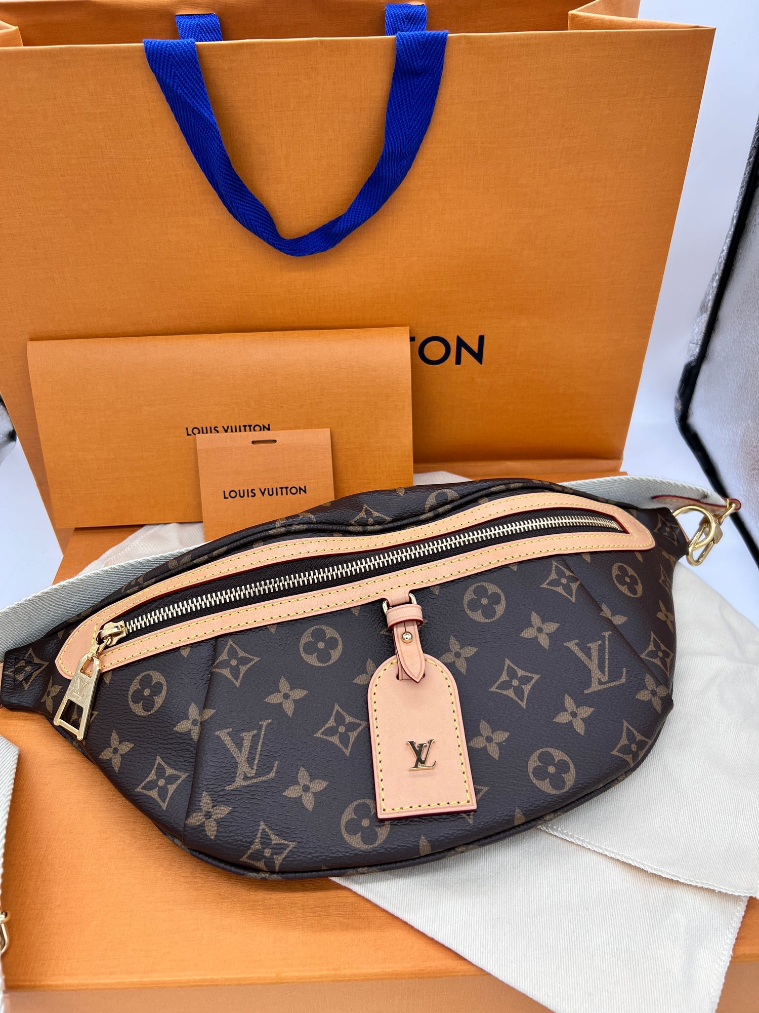 LOUIS VUITTON Handbag